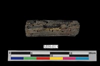 藏品(褐煤)的圖片